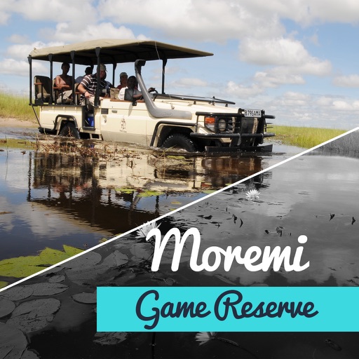 Moremi Game Reserve Travel Guide
