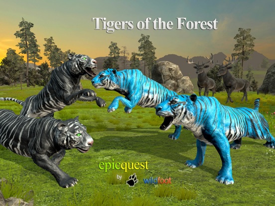 Скачать Tigers of the Forest