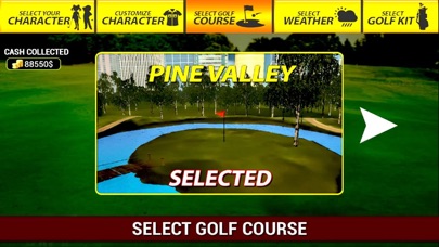 Professional Golf Pla... screenshot1