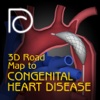 3D Road Map to Congenital Heart Disease