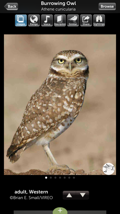 How to cancel & delete Audubon Owls Guide from iphone & ipad 3