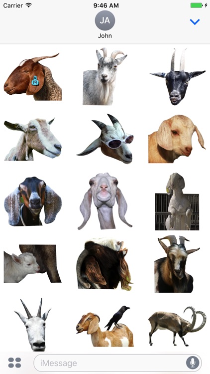 Goat Zoo Stickers