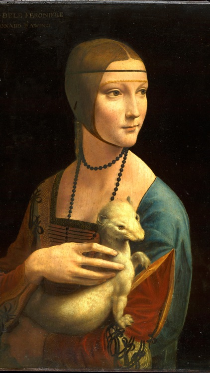 Leonardo Da Vinci Virtual Museum screenshot-3