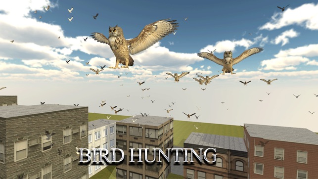 Bird Hunting Season 2016 Challenge : Legend of Bir(圖3)-速報App