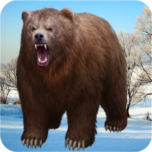 Wild Bear Animal Survival 3D iOS App