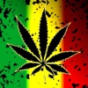 Marijuana Wallpapers : Best HD Wallpapers