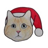 Merry Xmas Cat Stickers