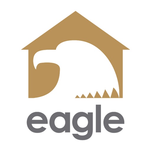 Eagle Vision icon