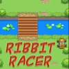 Ribbit Racer - Racing Mania