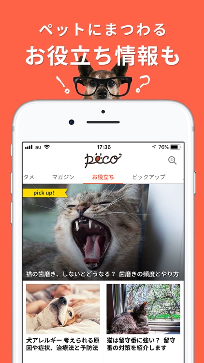 PECO(ペコ):いぬねこペット動画 screenshot-4