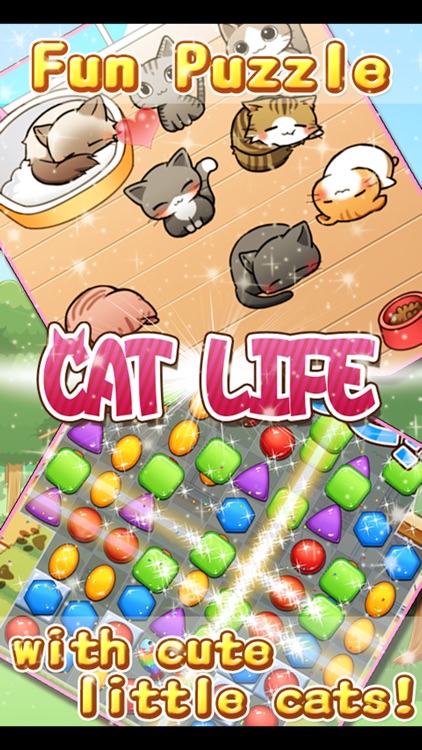 Cat Life - Cats & Kittens Games