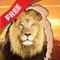 Wildlife Animals Jigsaw for young kids with simba