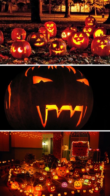 Halloween Decorations Ideas & Wallpapers Catalog screenshot-4