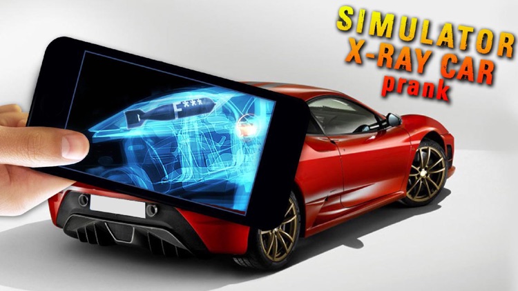 Simulator X-Ray Car Prank