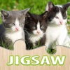 Cat Puzzle Game Animal Jigsaw Puzzles For Adults