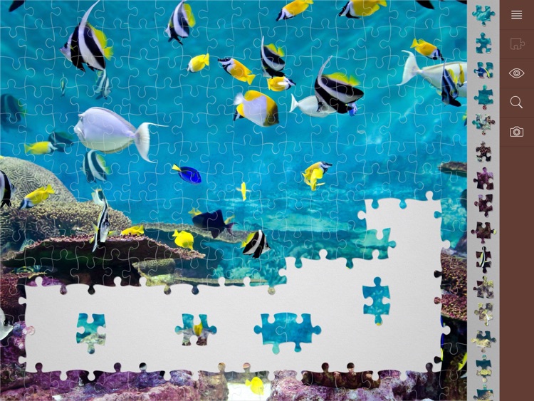 Jigsaw Puzzle Plus screenshot-0