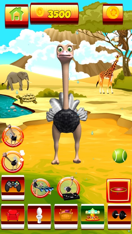 Talking Ostrich screenshot-3