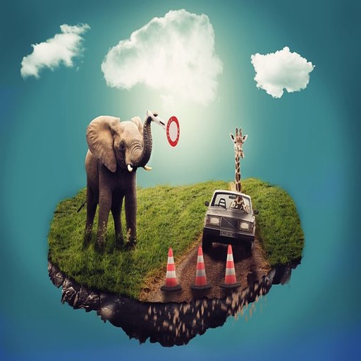 Elephant Stickers - 2018