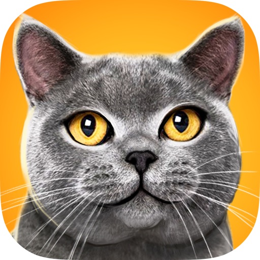 Virtual Cat 3D Icon