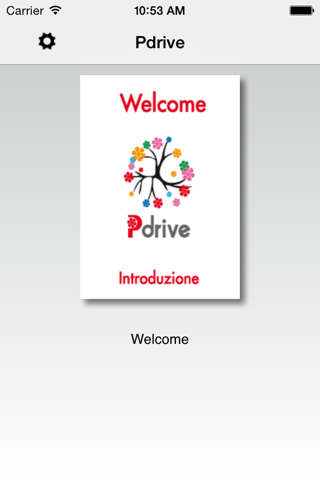 Pdrive screenshot 2