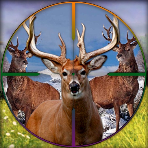 Wild Deer Challenge - 2017 icon