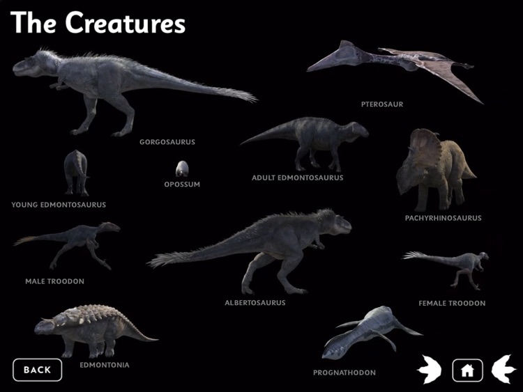 March of the Dinosaurs