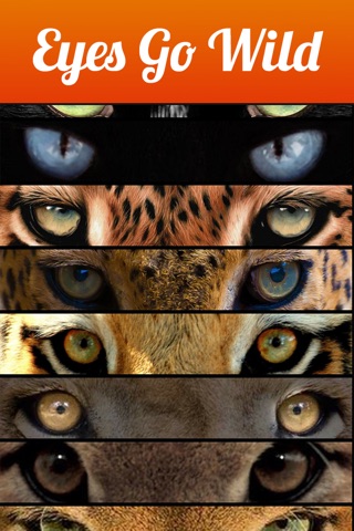 Eye Blender - Face Morph & Blends with Tiger, Leopard & Wolf for Instagram screenshot 3