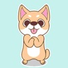 Shiba Dog Animated Stickers