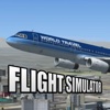 GREAT Flight Simulator 20'17