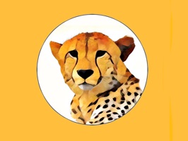 African Wild Animal Stickers