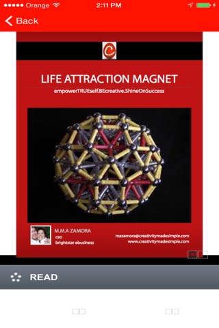 Life Attraction Magnet  Listing screenshot 3