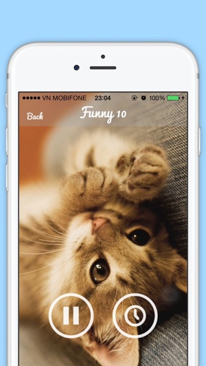 Funny Cat Sounds - Cat Music, Meow Sounds, Kitten Sounds, An(圖3)-速報App