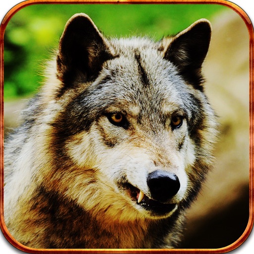 2016 American Wolf Hunter Pro Challenge icon