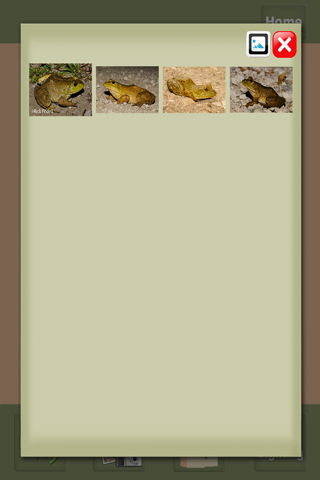 Amphibians of Utah screenshot 3