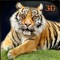 Hungry Wild Tiger 3D Simulator Game