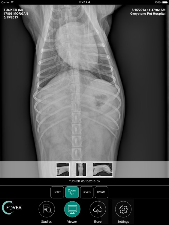 Fovea Image Viewer