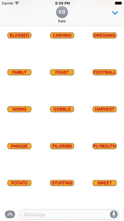 WordDub - Holiday Edition screenshot-3