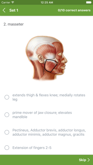 Anatomy Muscles System(圖5)-速報App