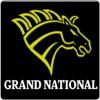 Grand National Horse Racing Videos