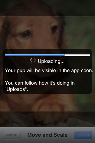 Puppy Pals screenshot 2