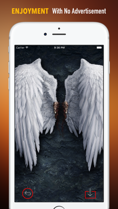 Angel Wings Wallpapers HD: Art Pictures screenshot 2
