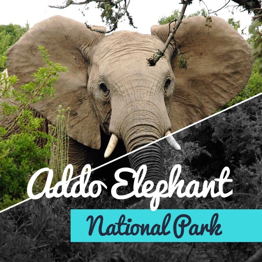 Addo Elephant National Park icon