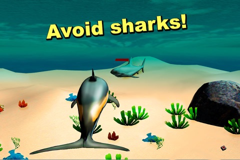Sea Simulator: Dolphin 3D Full screenshot 3