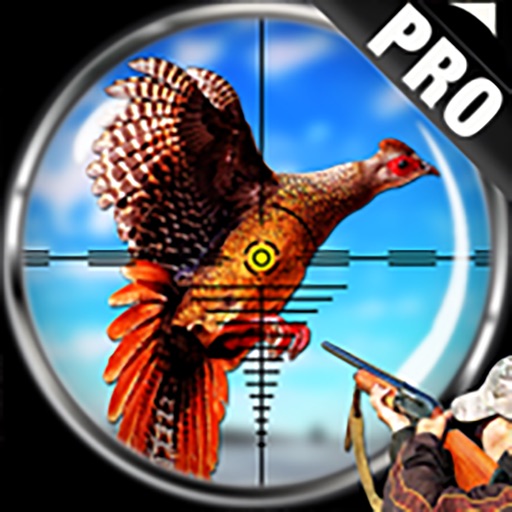 Pheasant Bird Hunting Pro iOS App
