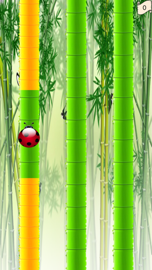 Beetle in bamboo(圖2)-速報App