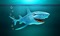 Hunter Shark 3D