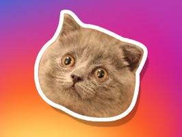 Me-ow, these cat stickers are da bomb
