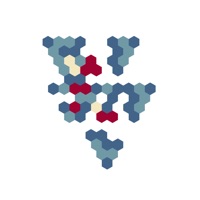 Langton's Ant Family Cellular Automata sur PC