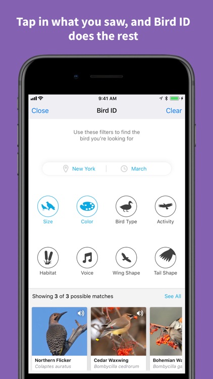 Audubon Bird Guide