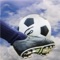 PRO FOOTBALL soccer league International 3D